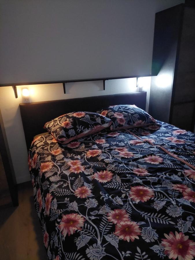 Chalet Moderna プッテン エクステリア 写真